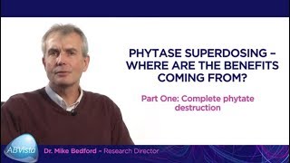 Superdosing – where are the benefits coming from? Part one: complete phytate destruction