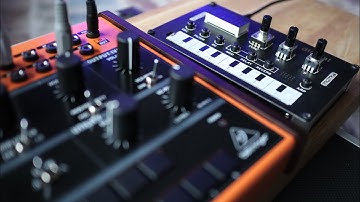 Behringer Crave + Korg NTS-1 = ?