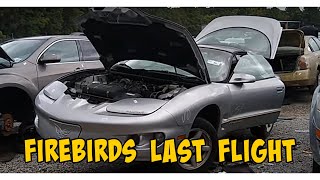 Junkyard Adventures! The 1998 Pontiac Firebird 3800 V6. Why is this thing here?!?! by Farpoint Farms Restorations and Repairs 325 views 3 months ago 1 minute, 48 seconds