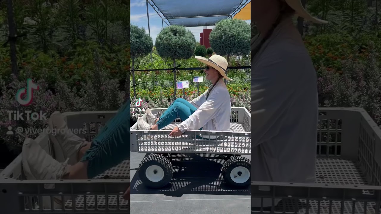 Get me to my favorite Austin plant nursery and fast! 🌱