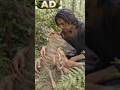 Survival story in difficult forest animal #short#dangerous