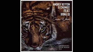 Andrey Keyton, Irina Gi, Chunkee - Careless Whisper (Original Mix) Resimi