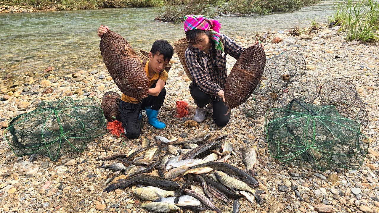 fish trapping skills, trapping fish with bamboo baskets, harvesting fish for sale_highland boy