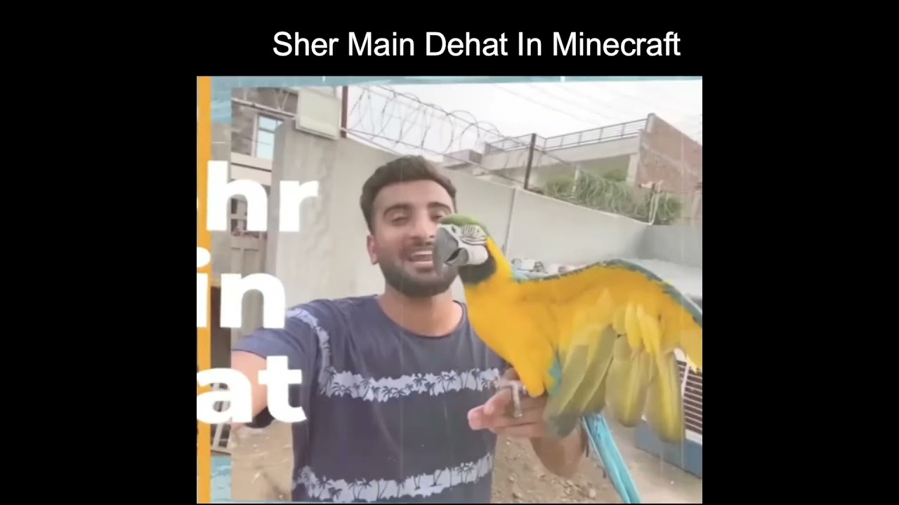 Sher main dehat In Minecraft short  