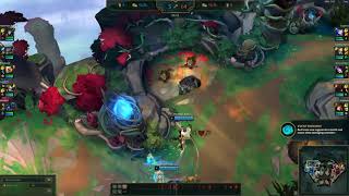 Riot Pls Fix
