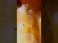 IFT-5 StarShip Static Fire 2 SloMo Full #spacex