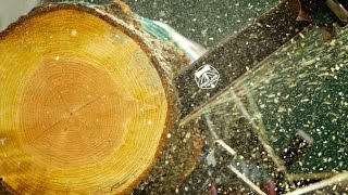 A look back at the 2014 Portland Timbers MLS Season