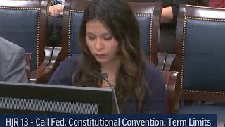 This is not a constitutional convention