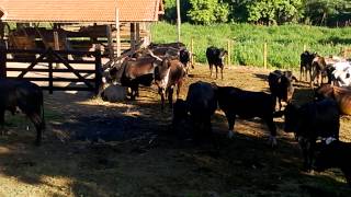 WP 20131027 033