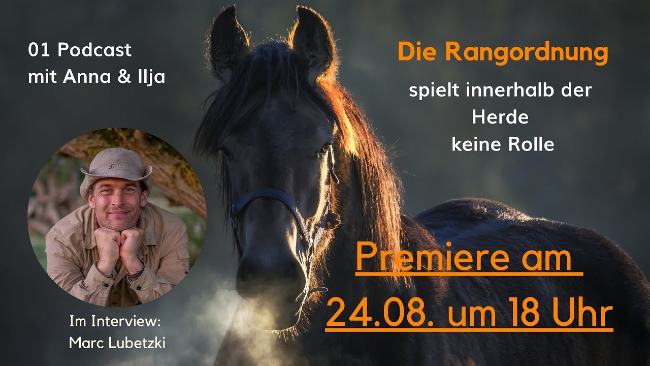 Die Rangordnung spielt innerhalb der Herde keine Rolle. Tierfilmer Marc Lubetzki im Interview.