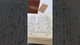 《孽子》手稿居然在美國加州!🇺🇸📚UCSB館藏白先勇真跡,看到直接起雞皮疙瘩