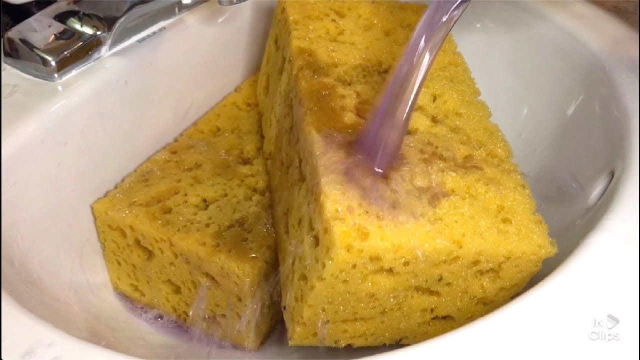 softening up my rock hard sponges sponge ASMR YouTube