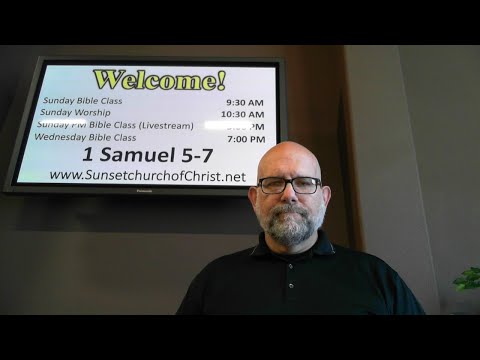 Video preview