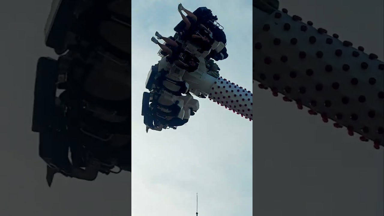 Vui chơi tại Wonderland