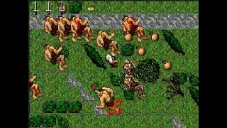 Tibia 6.x - David vs Goliath (6.x 2002 Antica)