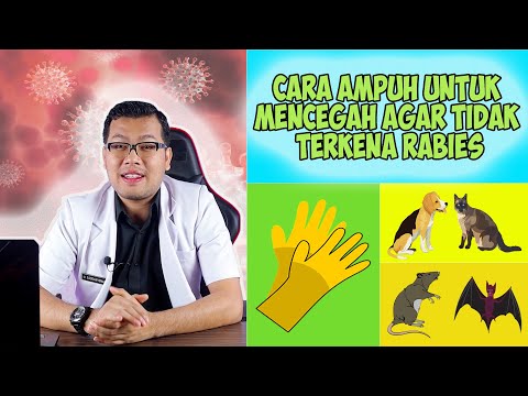 Video: 15 Tips Untuk Mencegah Gigitan Anjing Terjadi