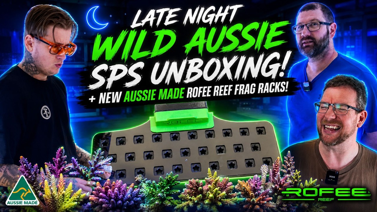 Late night Aussie SPS unboxing plus NEW Rofee Reef Frag Racks!