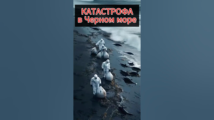 🚨 Катастрофа в Чёрном море 🌊 Разлив мазута угрожает тысячам жизней 📌 Экологи бьют тревогу ⛴️