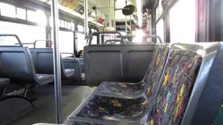 Gold Coast Transit2001 Nabi 40-Lfw