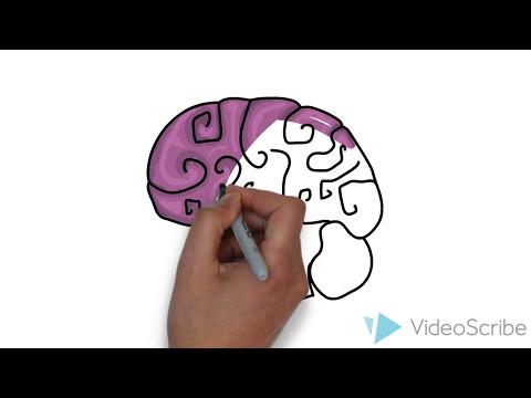 Video: Ce este alfabetizarea vizuală și de ce este importantă?