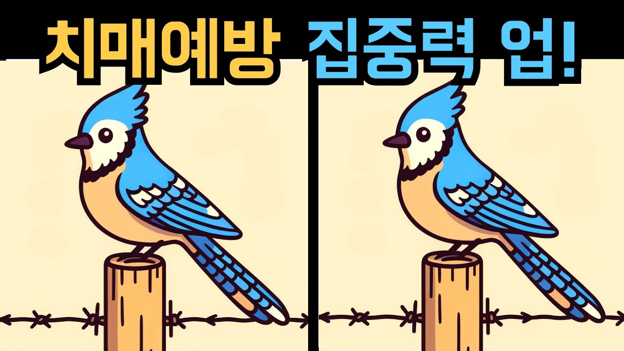 【다른그림찾기】치매예방 집중력 업!【틀린그림찾기】
