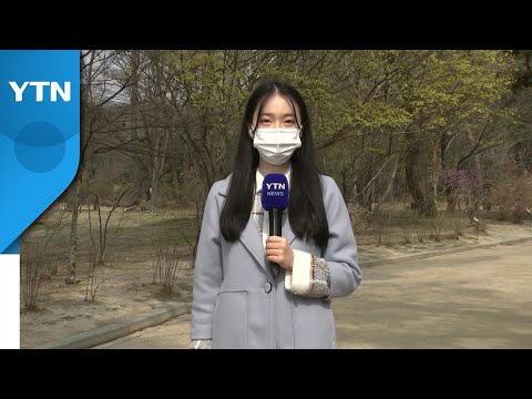 [날씨] 전국 맑고 일교차 커...강원 산간 강풍주의보 / YTN