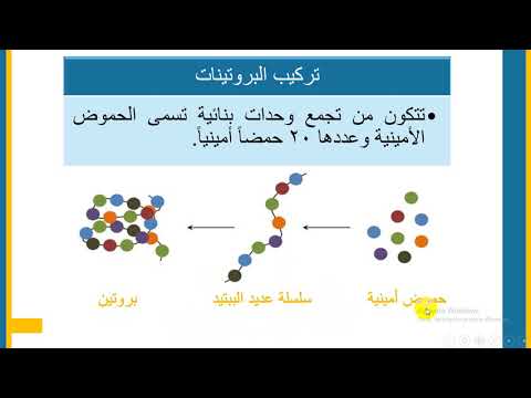 الدرس الثالث البروتينات الصف التاسع