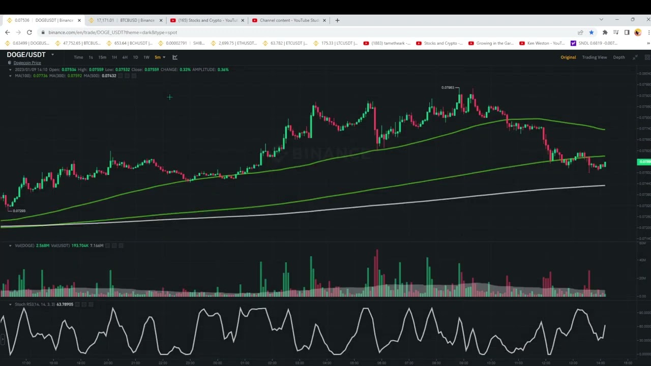 Dogecoin....Mon 2:00pm