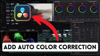 How to Add Auto Color Correction in DaVinci Resololve 2025?