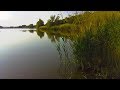 Легкий плеск волн в озере. Летнее утро. Звуки деревни.