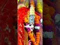 sureswari devi temple haridwar #sureswaridanda #devi #haridwar #love #travel #views #shorts #status