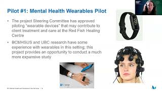 Establishing a VirtualDigital Innovation Hub at BCMHSUS