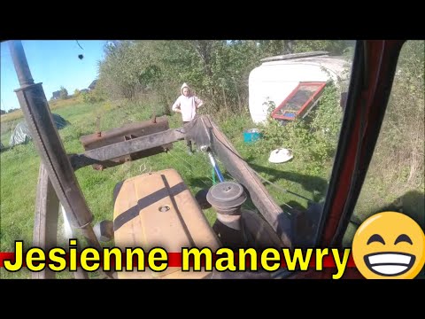 Removing supers from the apiary. | Fresh hay for the goats. | Choosing vegetables and a marital q...