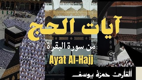 آيات الحج من سورة البقرة || القارئ حمزة يوسف || versets du hajj || Hamza Youssef