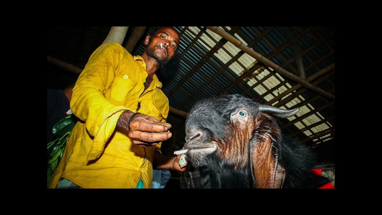 *FREE* FLINT X GRAND RAPIDS TYPE BEAT - “SENSATION” (PROD. INTHACUT)