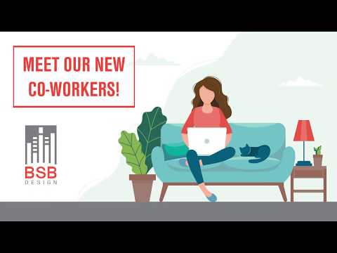 BSB Design's Newest "Co-Workers" - video from BSB Design
