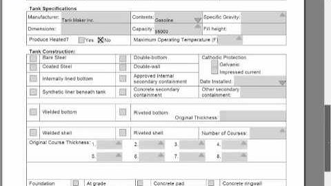 Florida DEP API 653 Inspection