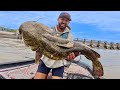 After 247 DAYS, We Finally Got The RIVER MONSTER!