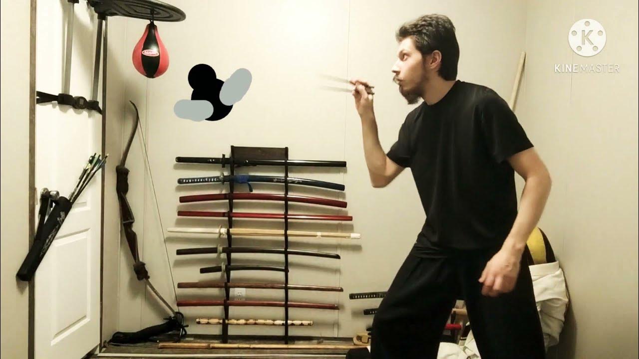 Catching A Fly With Chopsticks 🪰🥢 YouTube