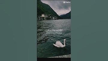 ( إن للمتقين عند ربهم جنات النعيم ) سورة القلم من الآية ٣٤ إلى ٤١ | إسلام صبحي #تلاوة_خاشعة #القرآن