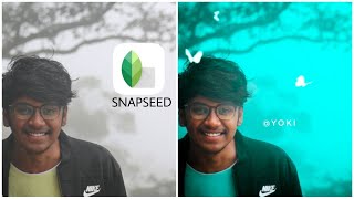 snapseed tutorial - background colour changing in tamil ||snapseed editing || Yoki edits tamil