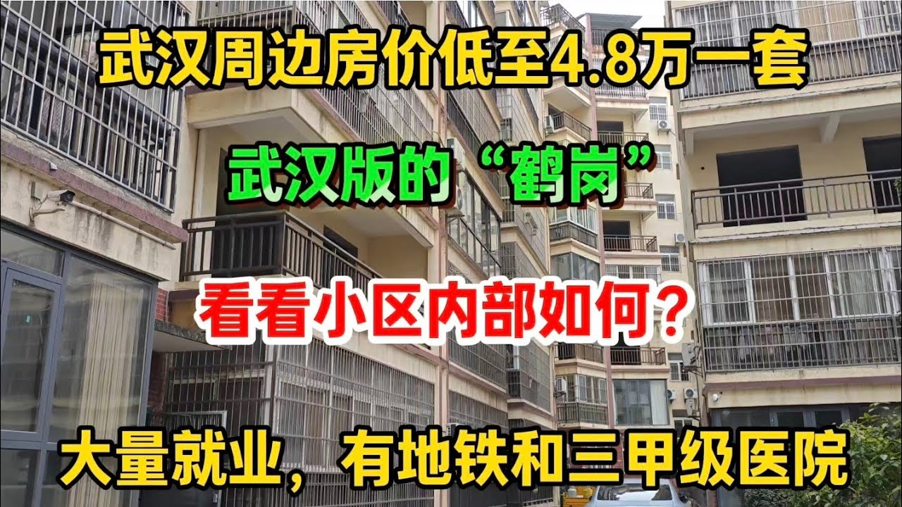 武汉版本的鹤岗，房价低至4.8万一套，遍地就业，还有地铁和三甲级医院，看看小区内部如何？
