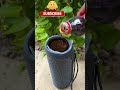 jbl bass speaker testing #ytshorts #soundeffects #shortvideo