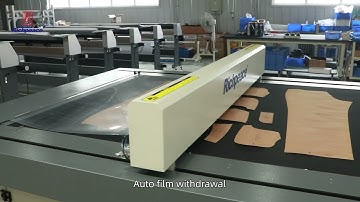 Richpeace Flatbed Scanning Digitizer