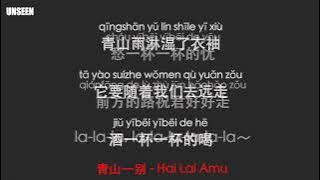 青山一别 - qing shan yi bie - 海来阿木 - Hai Lai Amu ｜Lyrics - 歌词
