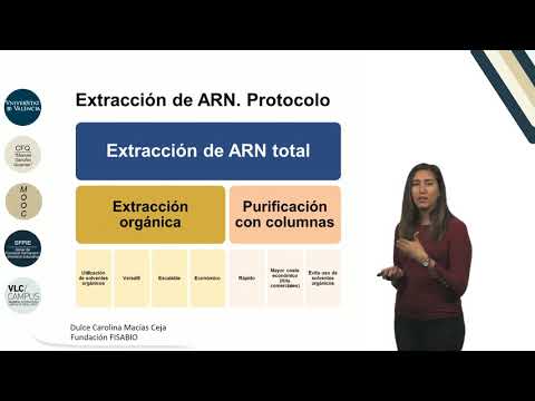 Vídeo: El Impacto Del Método De Extracción De ARN En La Secuenciación Precisa De ARN A Partir De Tejidos Embebidos En Parafina Fijados Con Formalina