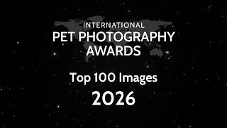 The Best Pet Photos of 2026