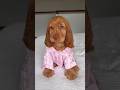🤩💗Olha Esse Cachorrinho Fofo de Pijama! Você Vai Amar Essa Fofura 😍💤 #cachorrofofo #dogcute