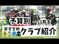 【一口馬主】初心者必見!「予算別」一口馬主おすすめクラブ紹介!【競馬】