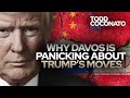 Why Davos Is Panicking About Trump’s Moves • The Todd Coconato Show Mp3 Song